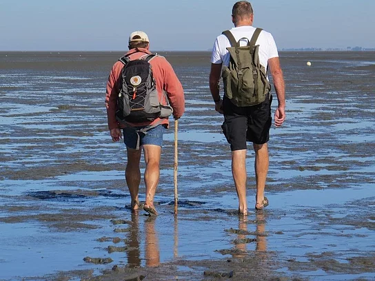 Wattzeit Zwei Menschen laufen barfüßig durch das Watt